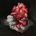 Helpless heart 