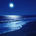 Moonlit Night