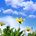 The Sound of Spring