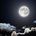 Gaslights in the Night