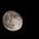 The Captive Moon