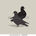 Lonesome Doves