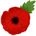 Red Poppies
