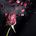 i the rose