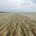 Foot Prints of the Sea