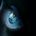 The Wise Eyes