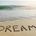 ×DREAMERS×