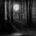 The Woods