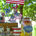 4th of July Lemonade 