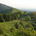Malvern Hills in June
