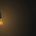 Light Bulb 