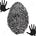 Finger prints 