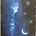 The Night Sky
