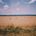 Manitou Fields