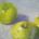Apple Harvest