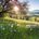 Sounds Of Nature