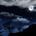 Under the MoonLight Baby
