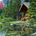 Girl of Prey CH.4 “Nesting Grounds”