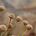 Streamlined: Words On &quot;Freestyle&quot;