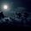 Night