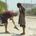 Human Kindness