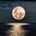 ‘The Still Of The Night’