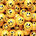 Stop and Smile