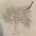 Love tree