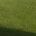 Accidentally Haiku’d Cutting Lawn