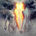 Twin Flame