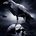 Quoth the Raven, &quot;Nevermore&quot;...