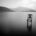  Silence                                                 