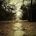The Path With No Ending