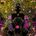 Buddha Enigma