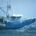 Bering Sea Gold