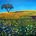 Nature and You!