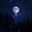 Moonlight 
