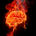 Brain on Fire!