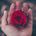 Don't Fall In Love With Me
