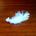 Dream of an Angel