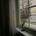The Window