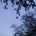 The Texture in the Day