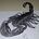 3D Scorpion on desk
