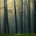 Soil, Spindle, Soul 