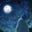 Moonlight