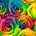 A Blossom of Colours