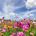 Spring´s Mindful Embrace