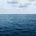 A Dolphin's Cry