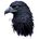 Ravens