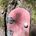 Fairy Doors